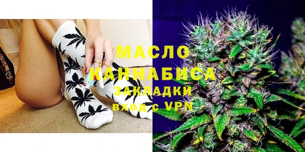 крисы Коряжма