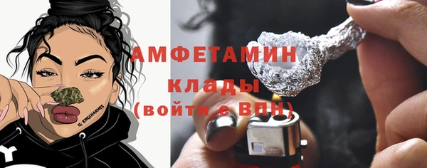 крисы Коряжма
