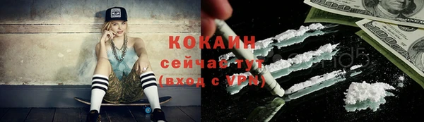 крисы Коряжма