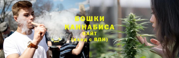 стаф Костерёво