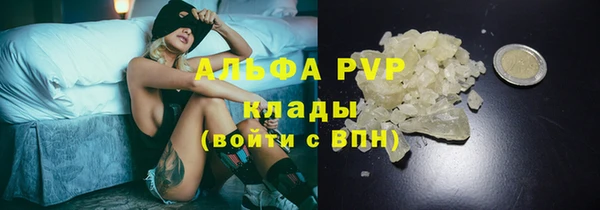 крисы Коряжма