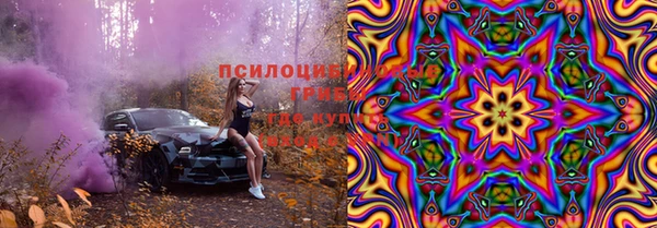 крисы Коряжма