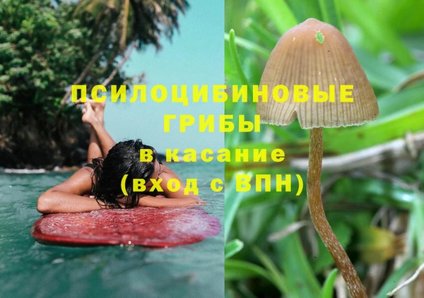 крисы Коряжма
