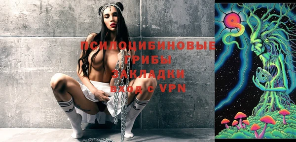 крисы Коряжма