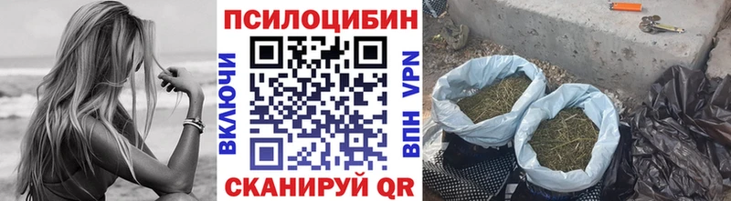 где купить наркоту  ОМГ ОМГ зеркало  Псилоцибиновые грибы MAGIC MUSHROOMS  Таганрог 